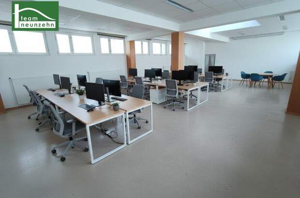 Büro / Praxis mieten in 3500 Krems (Bild 2)