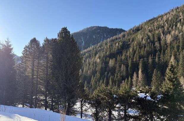 Ferienhaus kaufen in 9862 Innerkrems (Bild 4)