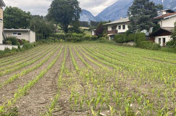 Haus kaufen in 6161 Natters (Bild 3)
