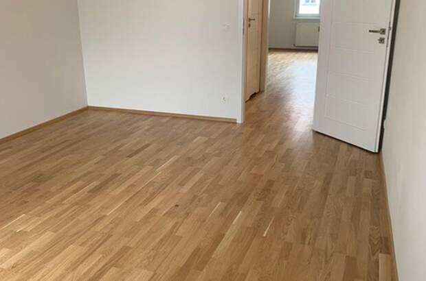 Wohnung mieten in 1020 Wien (Bild 3)