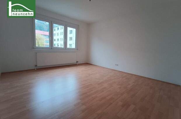 Mietwohnung in 3500 Krems (Bild 1)