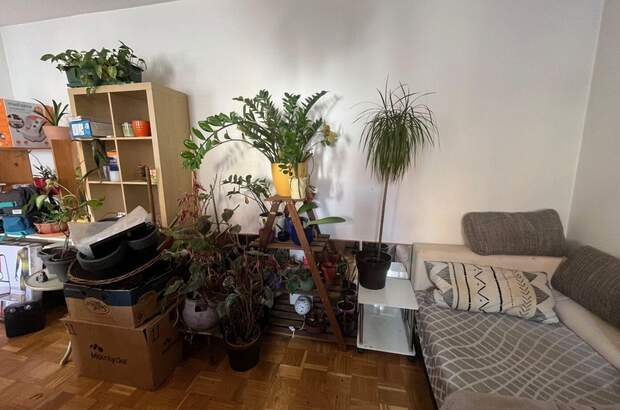 Wohnung mit Balkon mieten in 8010 Graz (Bild 3)