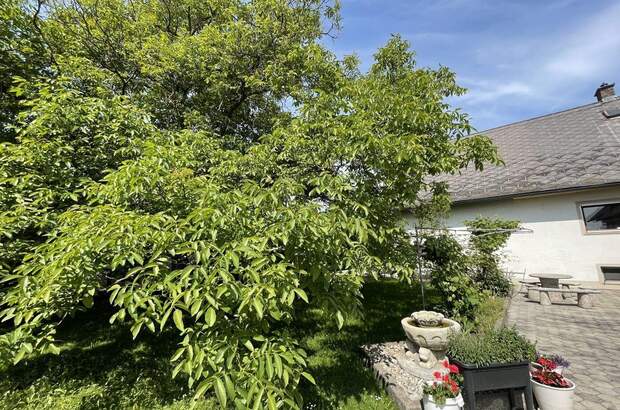 Haus kaufen in 8280 Fürstenfeld (Bild 5)