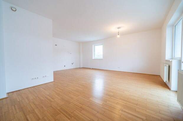 Terrassenwohnung kaufen in 3211 Loich (Bild 3)