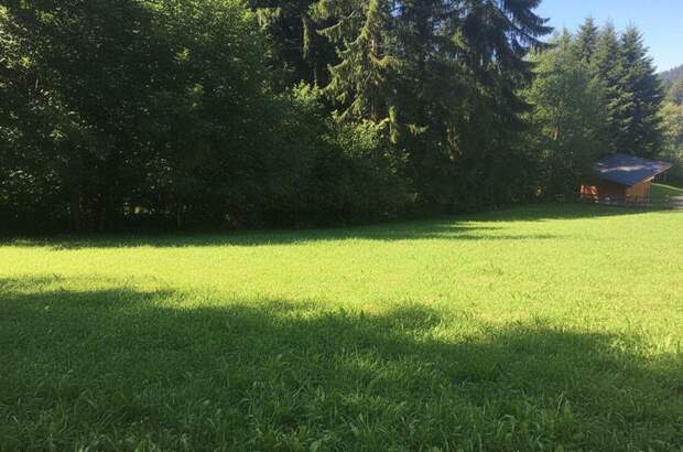 Grundstück kaufen in 6133 Weerberg (Bild 2)