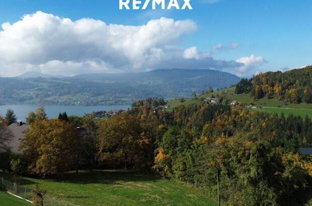 Grundstück kaufen in 4853 Steinbach (Bild 5)