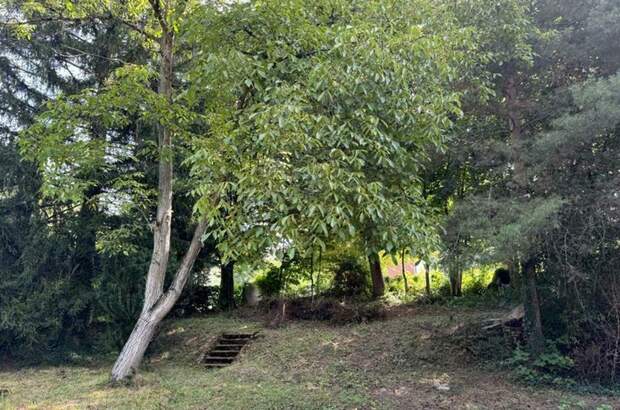 Haus kaufen in 9201 Krumpendorf (Bild 5)