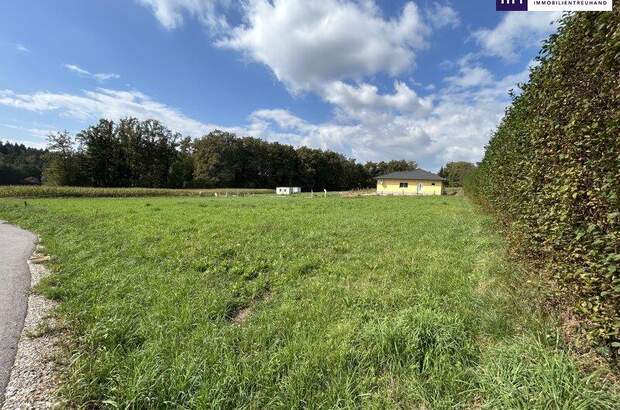 Grundstück kaufen in 8142 Wundschuh (Bild 2)