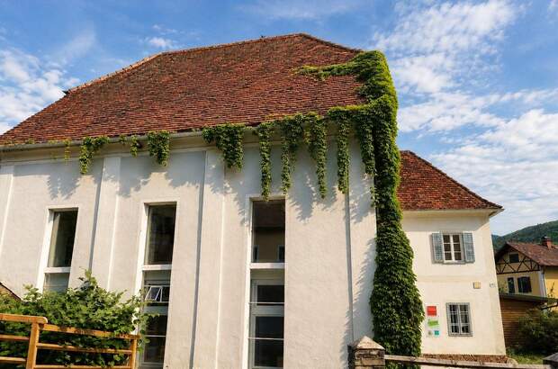 Haus kaufen in 8225 Pöllau (Bild 4)