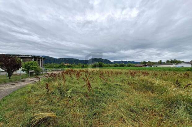 Grundstück kaufen in 9131 Grafenstein (Bild 3)