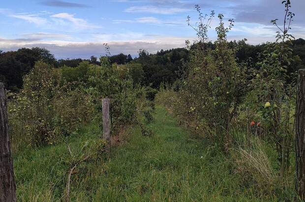 Haus kaufen in 8081 Heiligenkreuz (Bild 3)