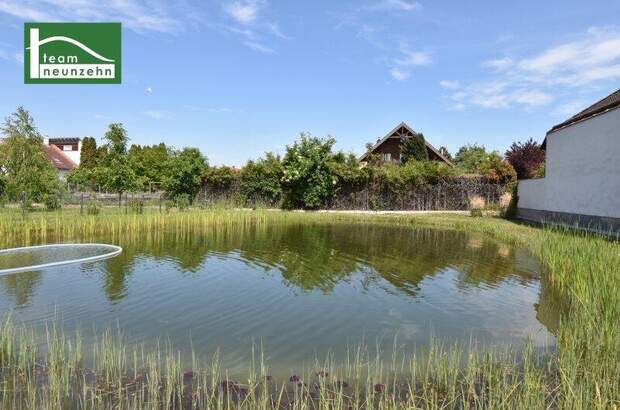 Terrassenwohnung kaufen in 3500 Krems (Bild 2)