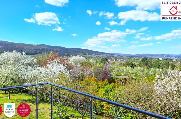 Einfamilienhaus kaufen in 2340 Mödling (Bild 1)