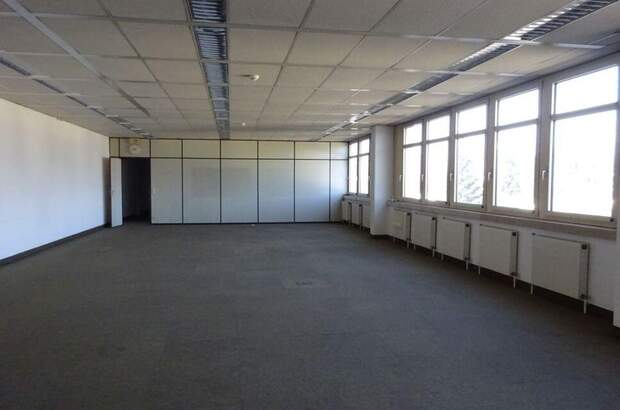 Gewerbeobjekt mieten in 8055 Graz (Bild 1)