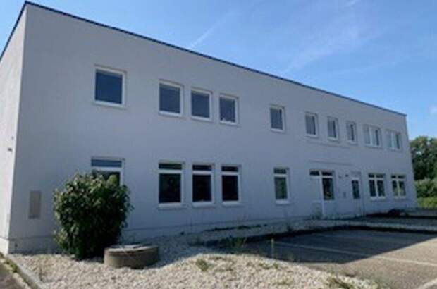 Gewerbeobjekt mieten in 4910 Ried (Bild 2)