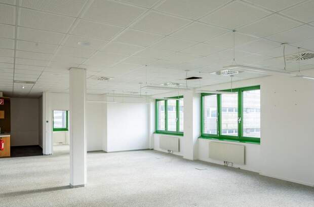 Gewerbeobjekt mieten in 1220 Wien (Bild 3)