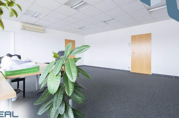 Gewerbeobjekt mieten in 4040 Linz (Bild 4)