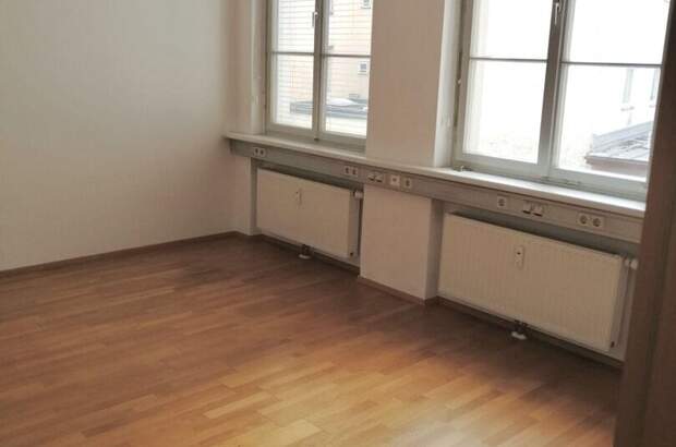 Gewerbeobjekt mieten in 5400 Hallein (Bild 2)