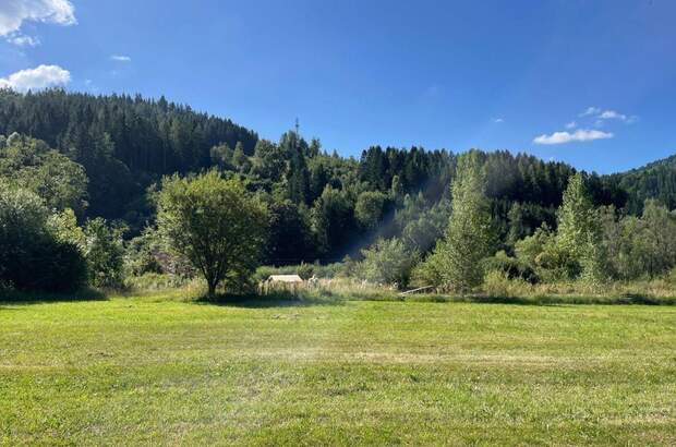 Grundstück kaufen in 8653 Stanz (Bild 3)