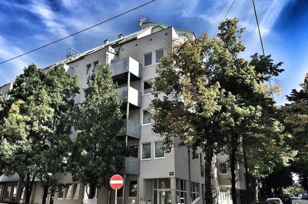 Wohnung mit Balkon kaufen in 1190 Wien (Bild 1)