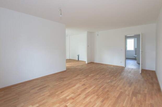 Terrassenwohnung kaufen in 1220 Wien (Bild 2)