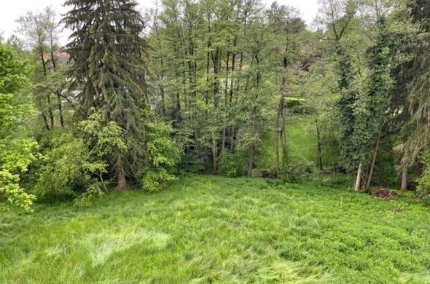 Grundstück kaufen in 8010 Graz (Bild 1)