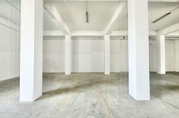 Gewerbeobjekt mieten in 4470 Enns (Bild 4)