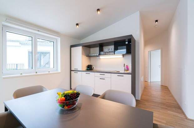 Terrassenwohnung kaufen in 1020 Wien (Bild 3)