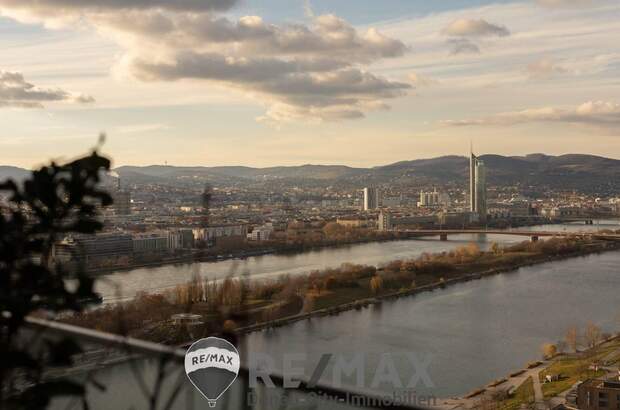 Terrassenwohnung mieten in 1220 Wien (Bild 1)