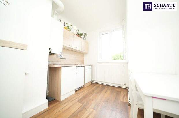 Wohnung kaufen in 1110 Wien (Bild 4)