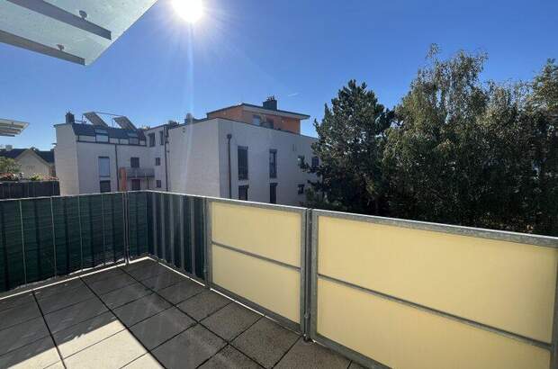 Terrassenwohnung mieten in 2232 Deutsch (Bild 3)