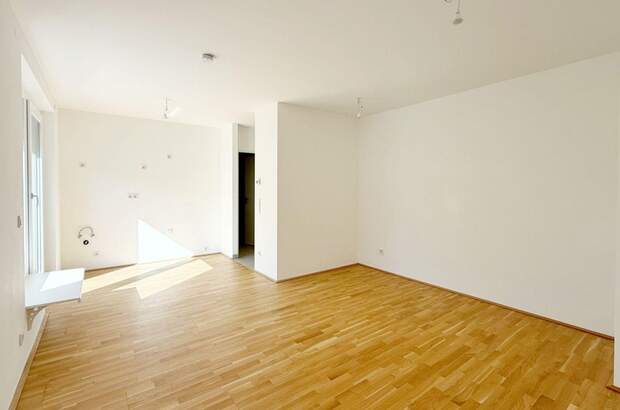 Wohnung kaufen in 1230 Wien (Bild 3)