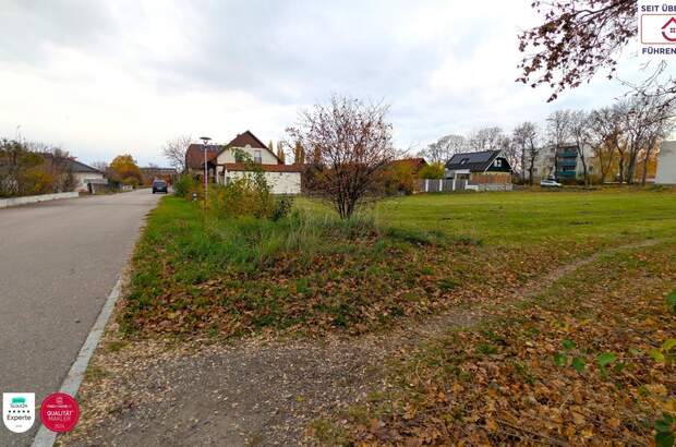 Grundstück kaufen in 2070 Retz (Bild 4)