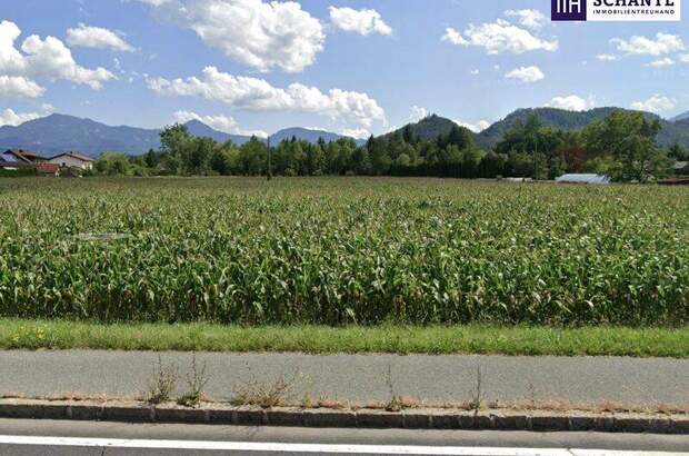 Grundstück kaufen in 9125 Kühnsdorf (Bild 1)