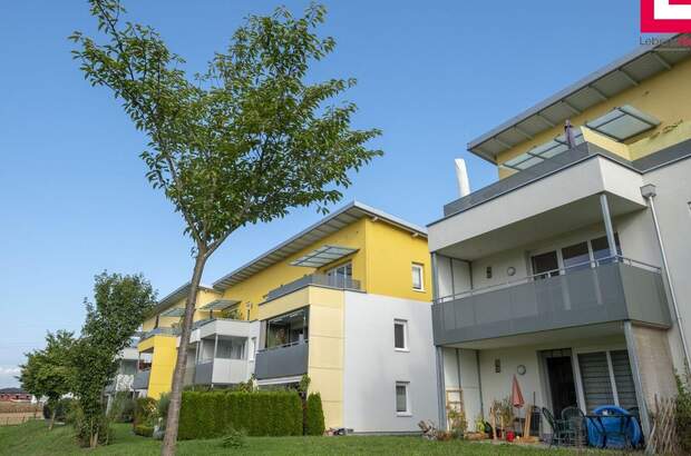 Mietwohnung in 4690 Rüstorf (Bild 1)