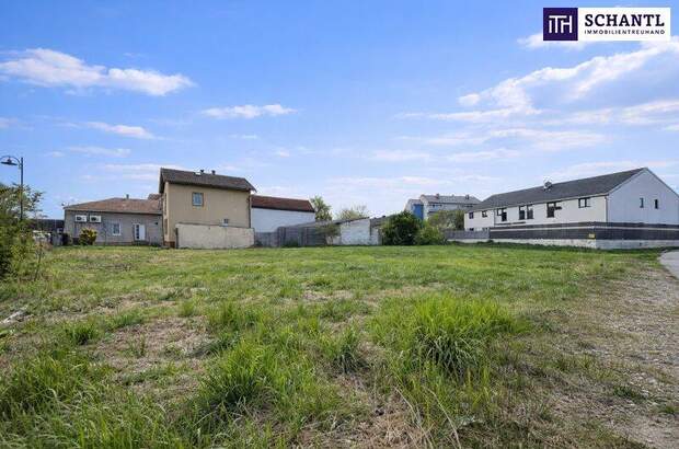 Grundstück kaufen in 2481 Achau (Bild 3)