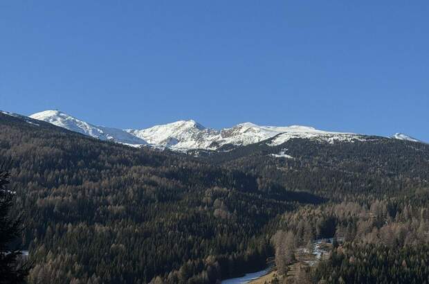 Grundstück kaufen in 8742 Mönchegg (Bild 5)