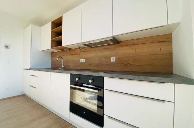 Terrassenwohnung mieten in 1230 Wien (Bild 3)