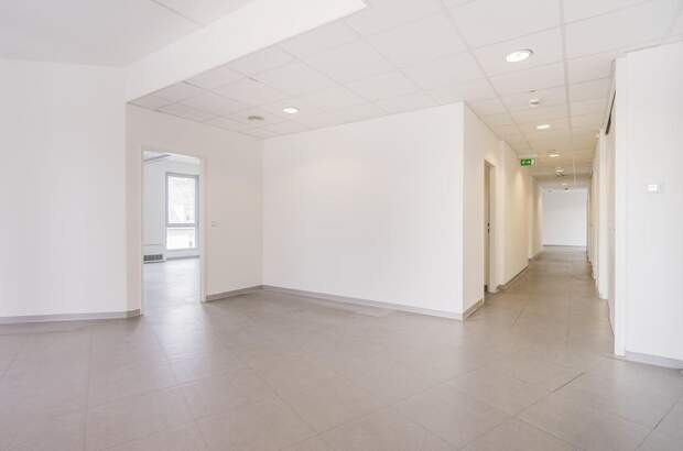 Gewerbeobjekt mieten in 1100 Wien (Bild 4)