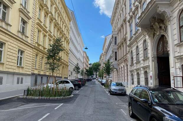 Altbauwohnung kaufen in 1090 Wien (Bild 4)