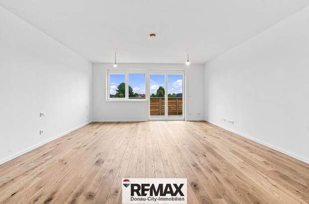 Terrassenwohnung kaufen in 2232 Deutsch (Bild 3)