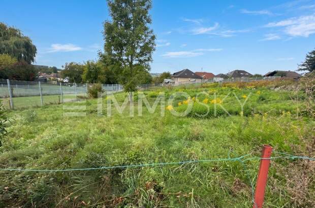 Grundstück kaufen in 4311 Schwertberg (Bild 2)