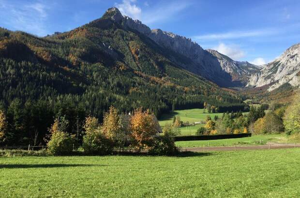 Grundstück kaufen in 8636 Seewiesen (Bild 3)