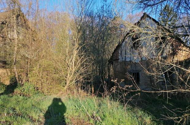 Haus kaufen in 8505 Sankt Nikolai (Bild 2)