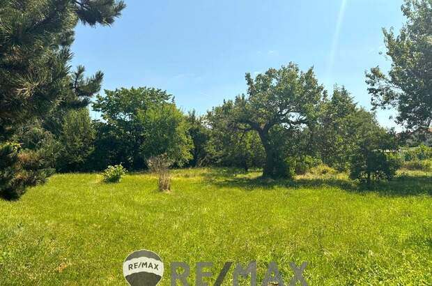 Grundstück kaufen in 2486 Pottendorf (Bild 3)