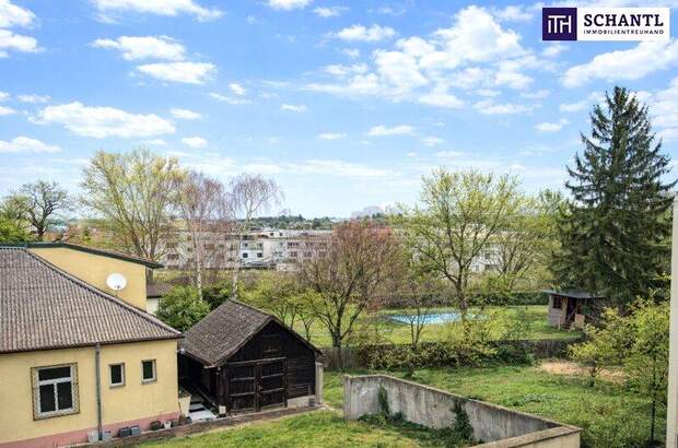 Wohnung mieten in 1130 Wien (Bild 1)