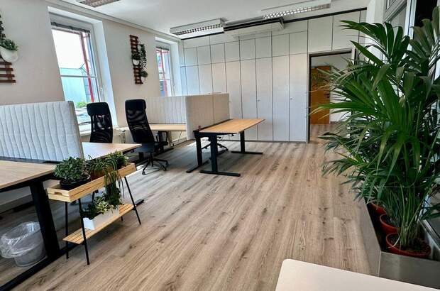 Gewerbeobjekt mieten in 4210 Gallneukirchen (Bild 4)