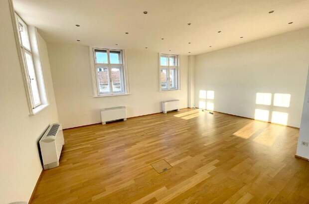 Gewerbeobjekt mieten in 1010 Wien (Bild 2)