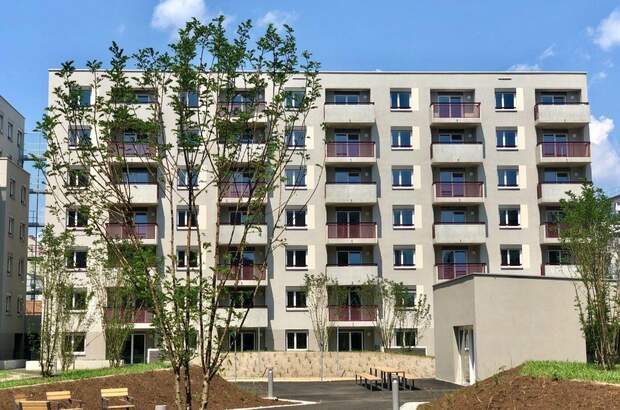 Wohnung mieten in 8020 Graz (Bild 3)
