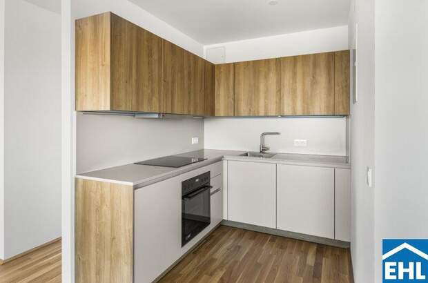 Terrassenwohnung mieten in 1200 Wien (Bild 2)